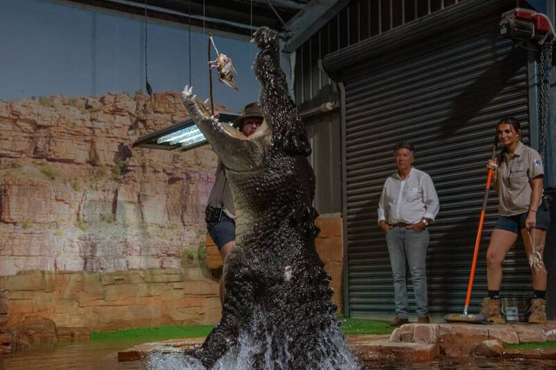 Ballarat Wildlife Park - Log Cabin Camp Venues