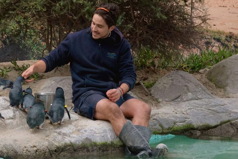 Ballarat Wildlife Park - Log Cabin Camp Venues