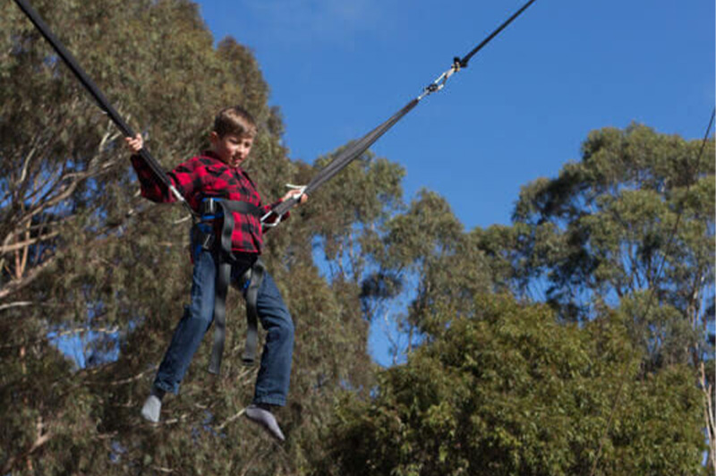 Bungee Tramps