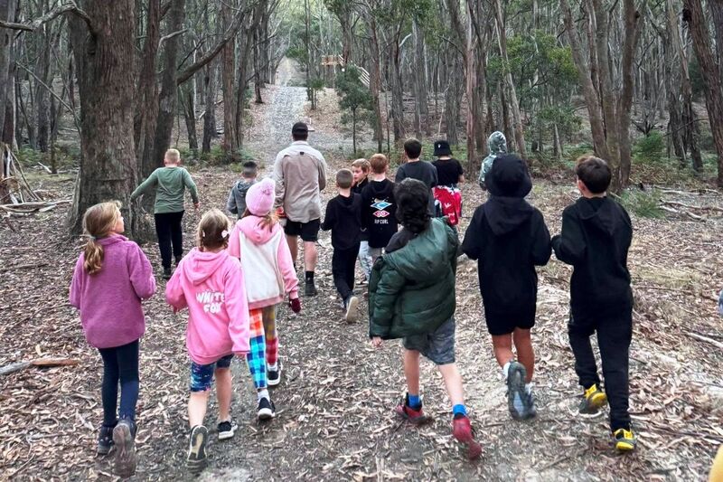 Bush Walks - Log Cabin Camp Venues
