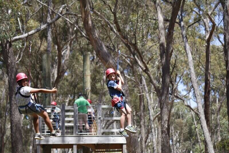 Dual Zipline - Log Cabin Camp Venues