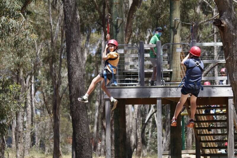 Dual Zipline
