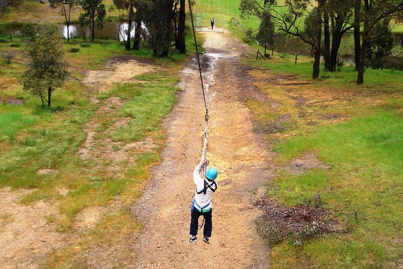 Flying Fox