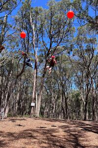 Leap of Faith