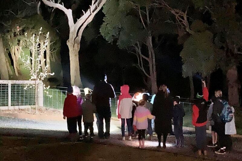 Night Hike