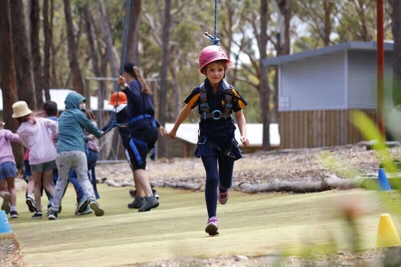Possum Glider - Log Cabin Camp Venues