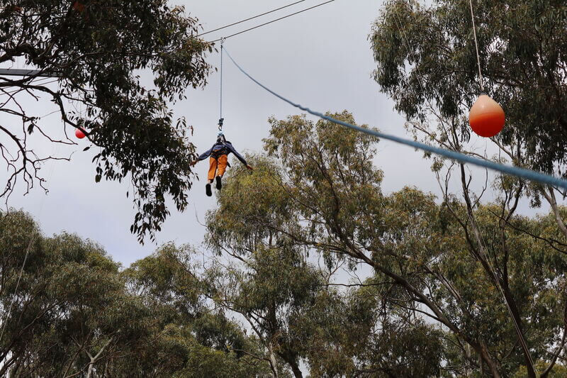 Possum Glider