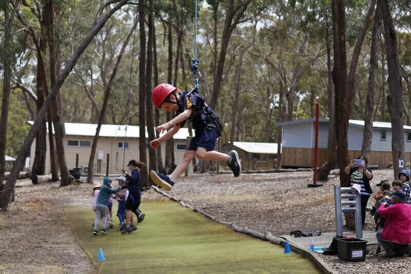 Possum Glider - Log Cabin Camp Venues