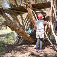 Hut Building