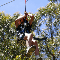 Dual Zipline