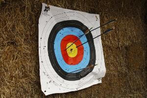 Arrows stuck into archery target