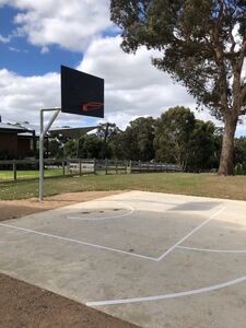 Basketball - Log Cabin Homestead