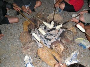Billy Tea + Damper - Log Cabin Camp
