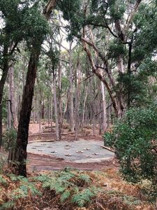 Billy Tea + Damper - Adekate Camp