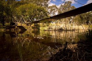 Bridge over dam to island