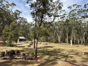 Camp Ground - Adeakte Bush Tent Site