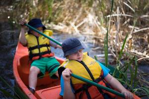 Two boys paddling through reeds in orange canoe