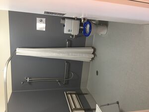 Central Bunkroom Accessible Bathroom - Log Cabin Camp