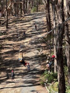 Dual Zipline - Adekate Camp