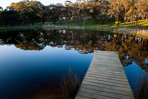 Lake Reflections with Pier - Log Cabin Camp