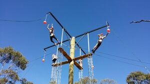 Leap Of Faith - Log Cabin Camp