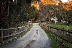 Driveway entrance to Log Cabin Camp 