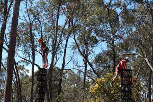 Two harnessed students suspended in the air building milk crate towers