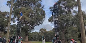 Milk Crate Stacking - Log Cabin Homestead Creswick