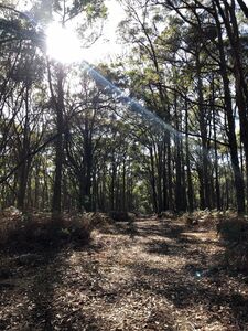 Nature Walks - Adekate Camp