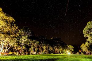 Night Skies - Log Cabin Camp