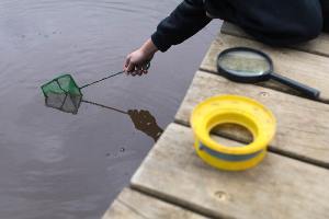 Student using net in dam