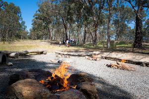 Multiple small burning campfires