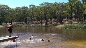 Swimming off the Jetty - Log Cabin Camp