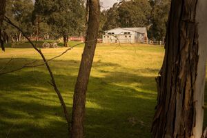 The Animal Paddock - Log Cabin Camp