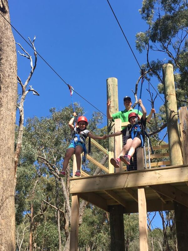 Ziplining - Log Cabin Camp